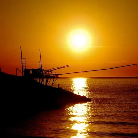 Sole